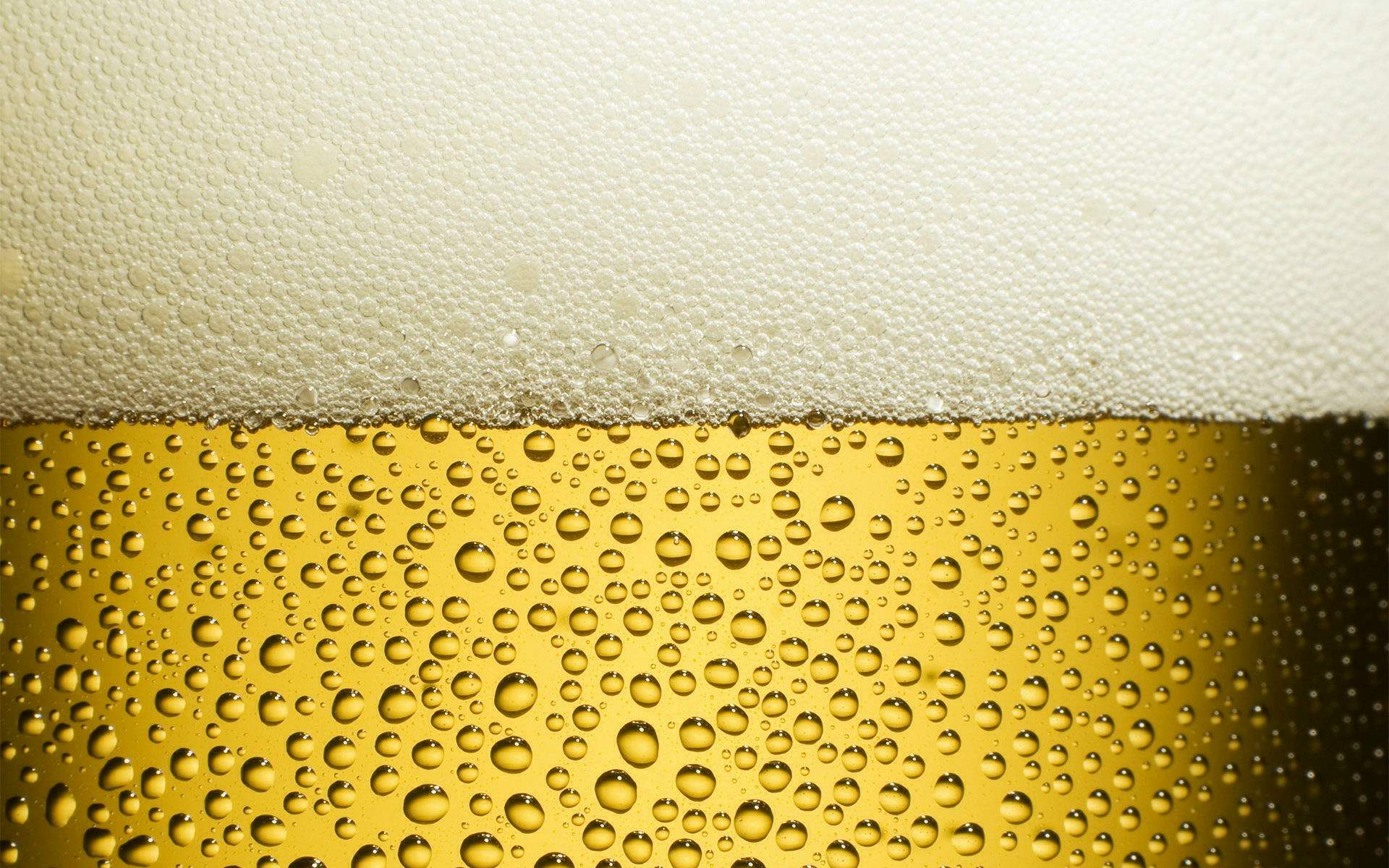 评价啤酒质量的指标，你知道几个？