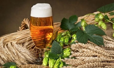 精酿啤酒中，如何选择恰当的浸麦方法？