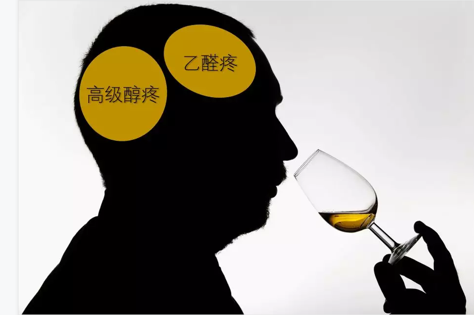喝酒“上头”？“上头”的原因及生产过程中控制方法